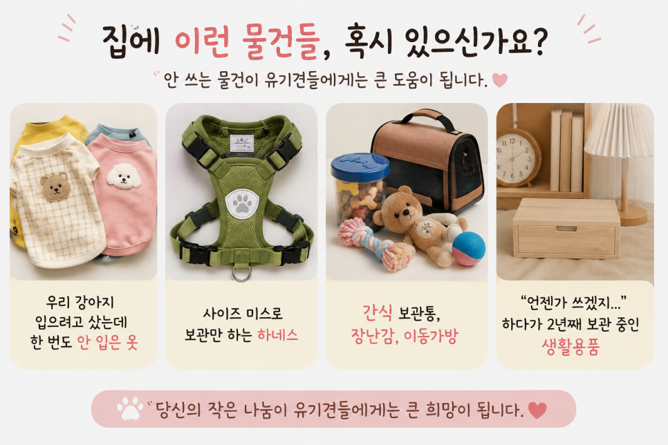 안양 뭉개구름 애견유치원, 유기견 돕기 기부 바자회 개최 — 사진 2
