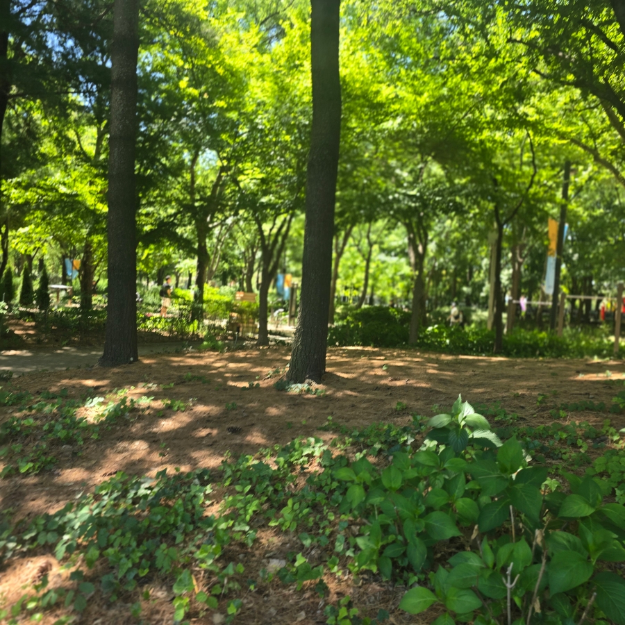 로티서리조이 사진 8