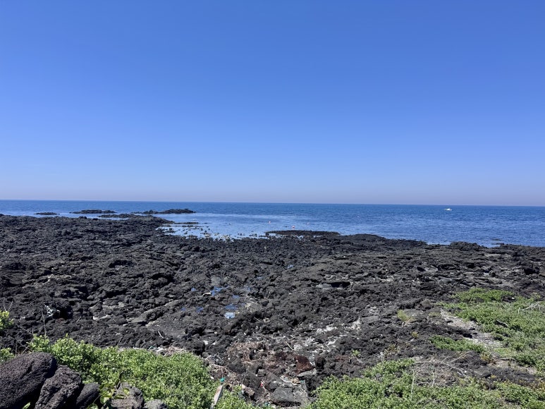 별방 정식 사진 8