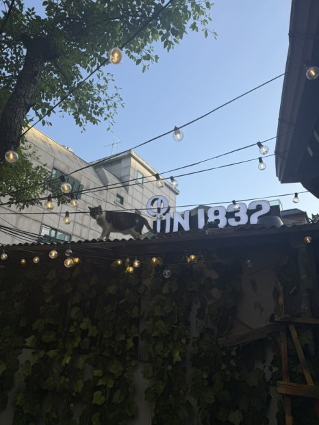 아크로 사진 5