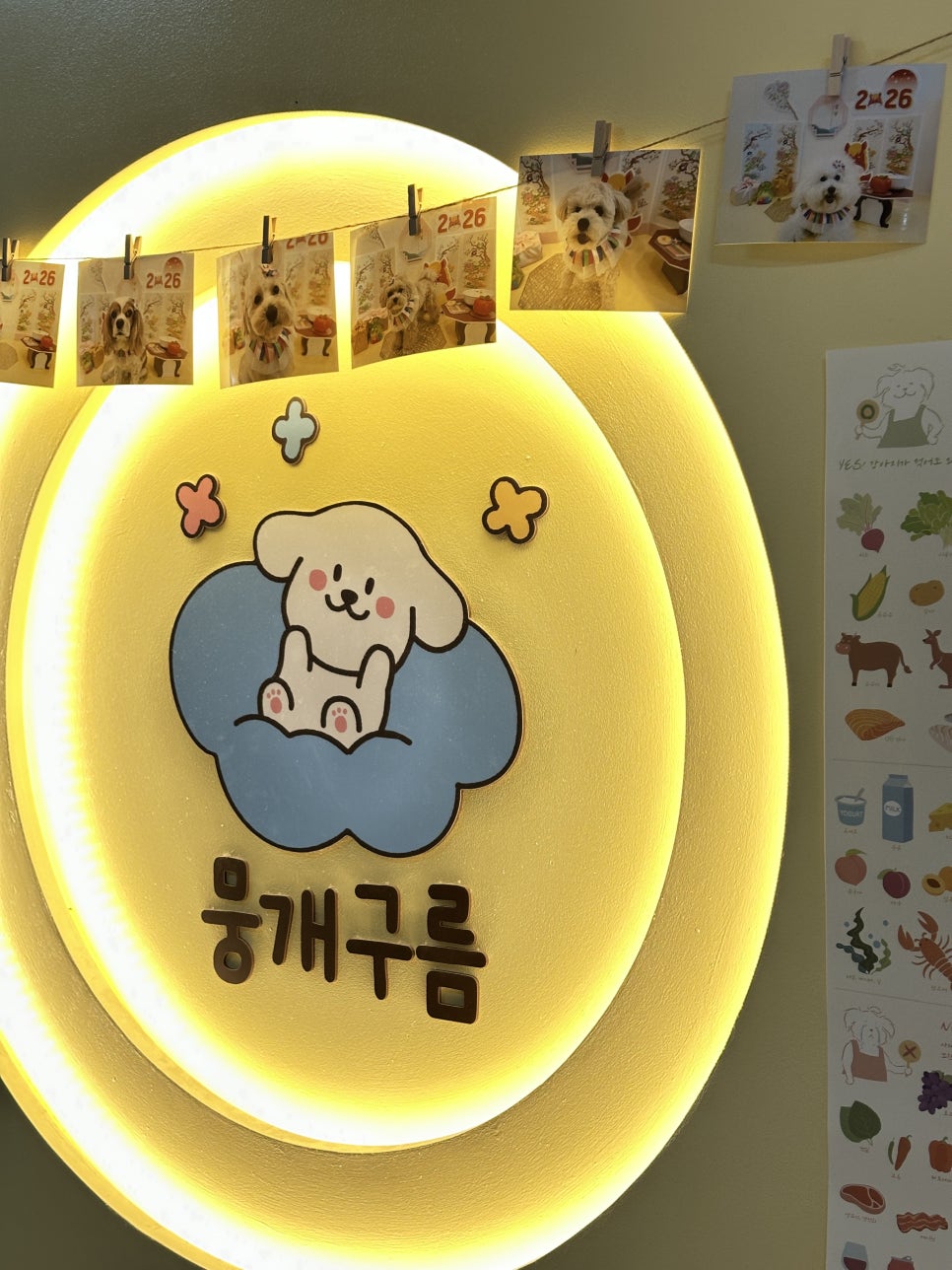 안양 뭉개구름 애견유치원, 유기견 돕기 기부 바자회 개최