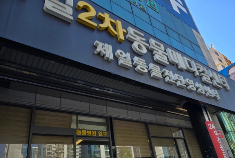 부산 24시 동물병원, 강아지 뇌척수염 치료 비용 및 후기 — 사진 2