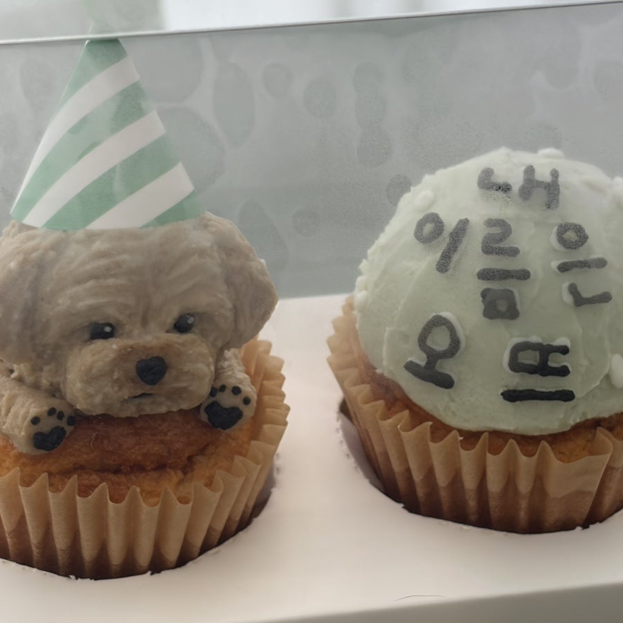 부천 강아지 생일 머핀, 행구당 수제 간식 후기 — 사진 7