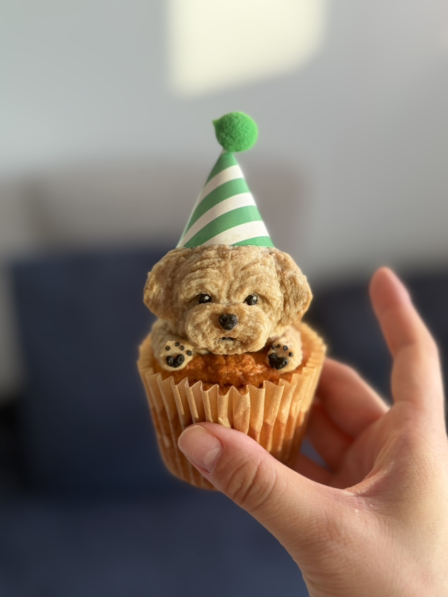 부천 강아지 생일 머핀, 행구당 수제 간식 후기 — 사진 12