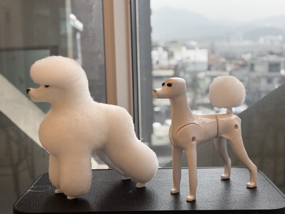 부평 애견미용 배우기: 셀프미용부터 창업까지 장점 분석 — 사진 13
