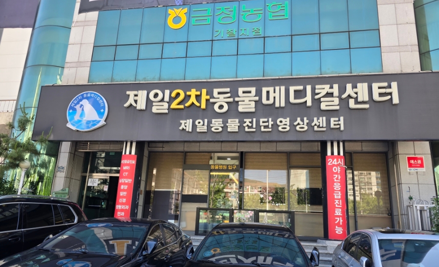 부산 24시 동물병원, 강아지 뇌척수염 치료 비용 및 후기 — 사진 19