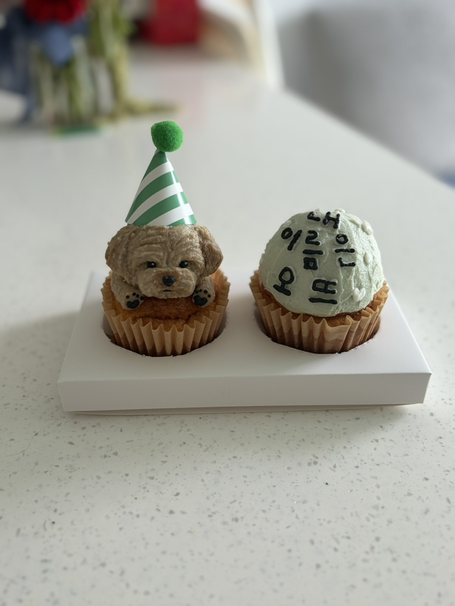 부천 강아지 생일 머핀, 행구당 수제 간식 후기 — 사진 16