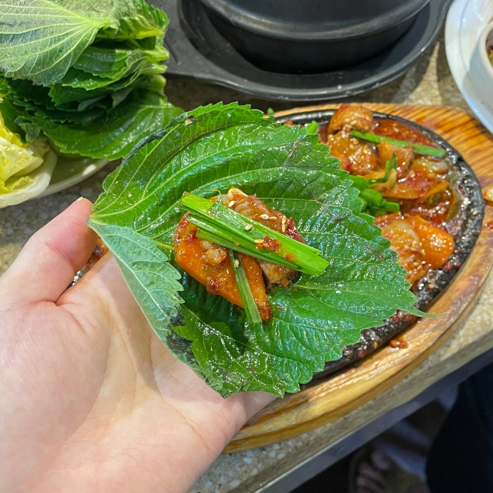 수진네 사진 8