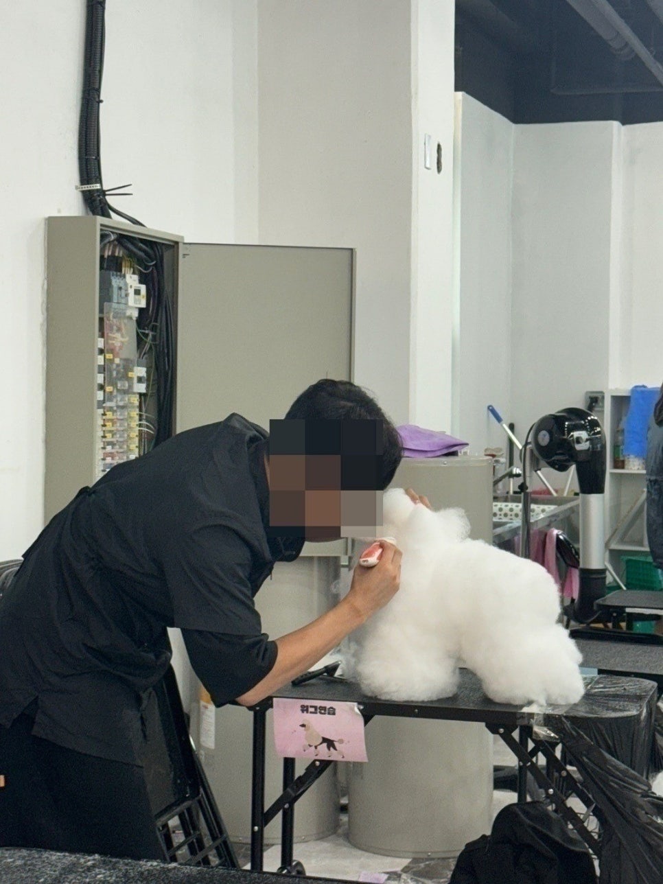 영등포 애견미용학원, 40대 건설인 창업 도전 후기 — 사진 8