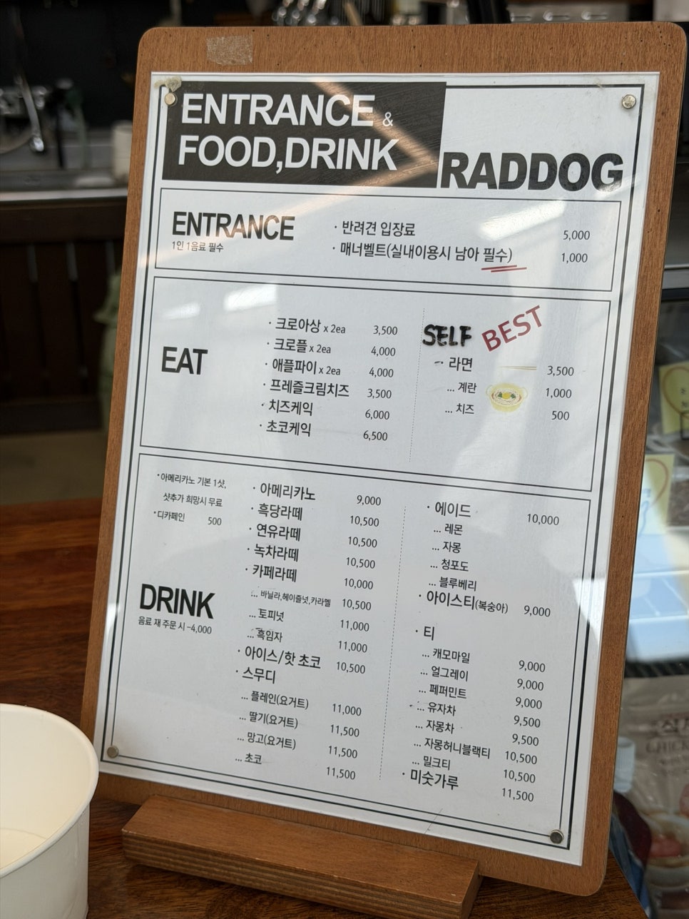 성남 대형견 가능한 천연잔디 강아지 운동장 라드독 후기 — 사진 8