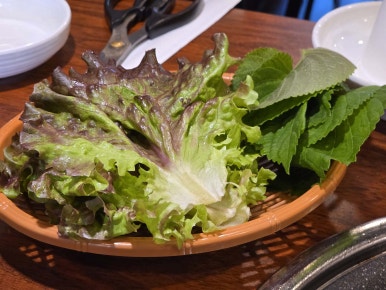 돈든하다 사진 2
