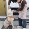 영등포 애견미용학원, 40대 건설인 창업 도전 후기 — 사진 4