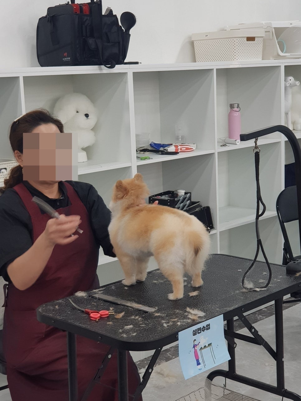 영등포 애견미용학원, 40대 건설인 창업 도전 후기 — 사진 5