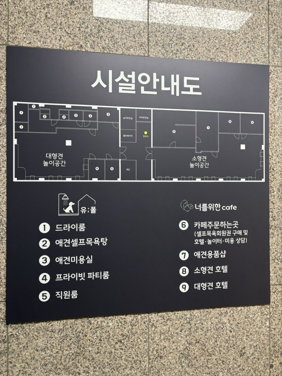 동탄 애견카페 너를위한카페: 미용부터 호텔까지 원스톱 솔루션 — 사진 3
