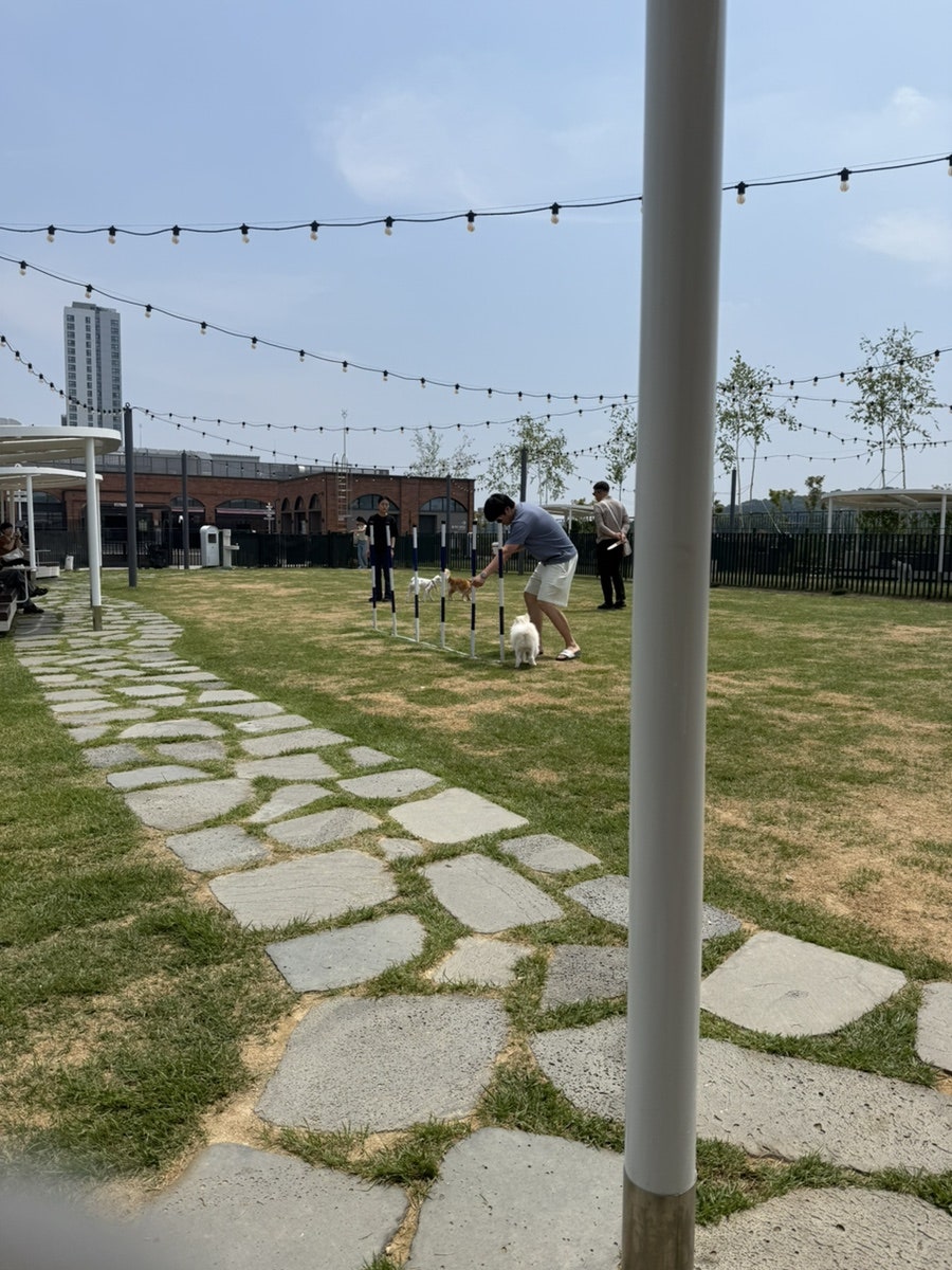 수원 스타필드 애견카페 디어테일, 강아지 동반 후기 — 사진 10