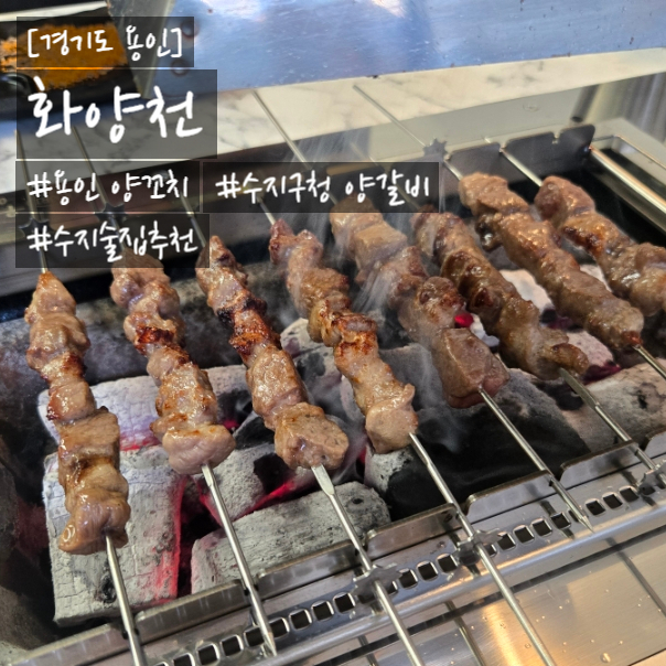 화양천 사진 4