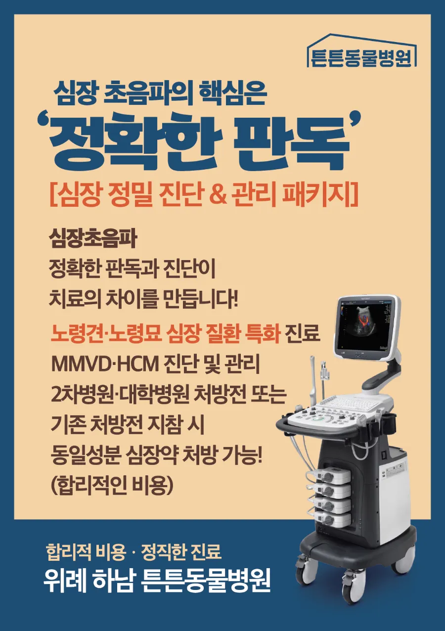 강아지 심장초음파 비용 합리적인 위례튼튼동물병원 후기 — 사진 2