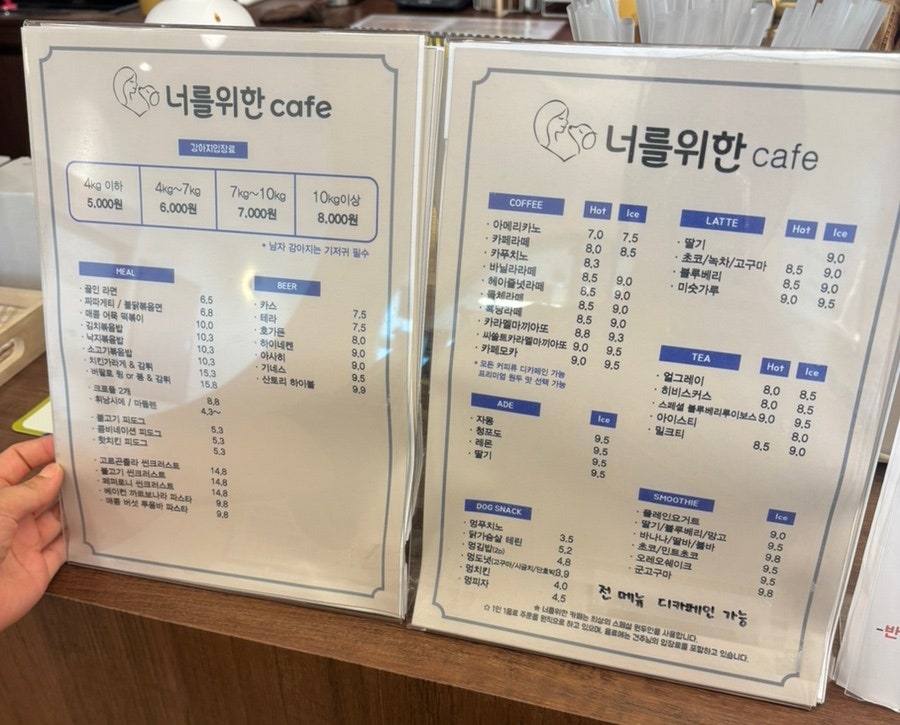 동탄 애견카페 너를위한카페: 미용부터 호텔까지 원스톱 솔루션 — 사진 5