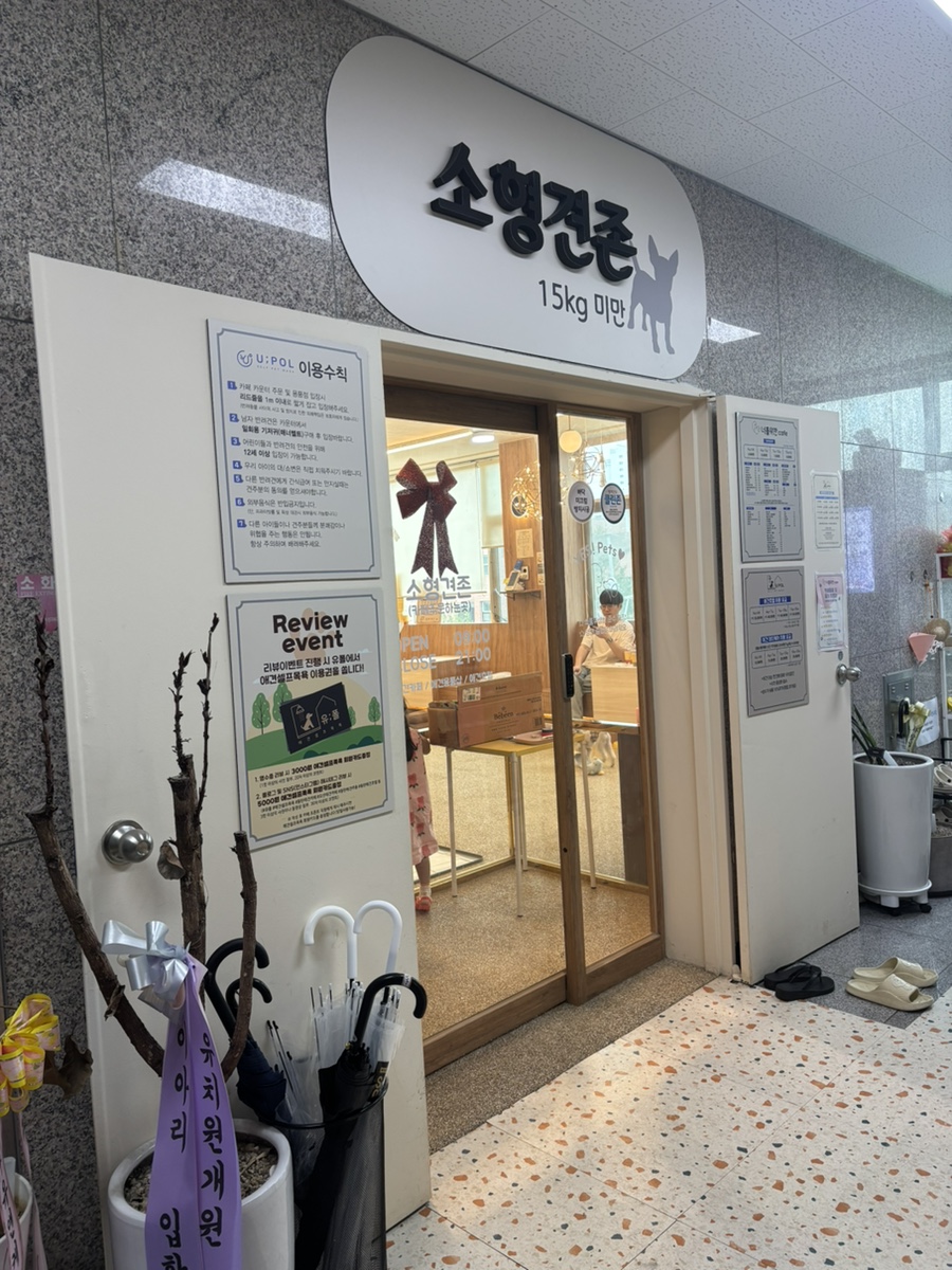 동탄 애견카페 너를위한카페: 미용부터 호텔까지 원스톱 솔루션