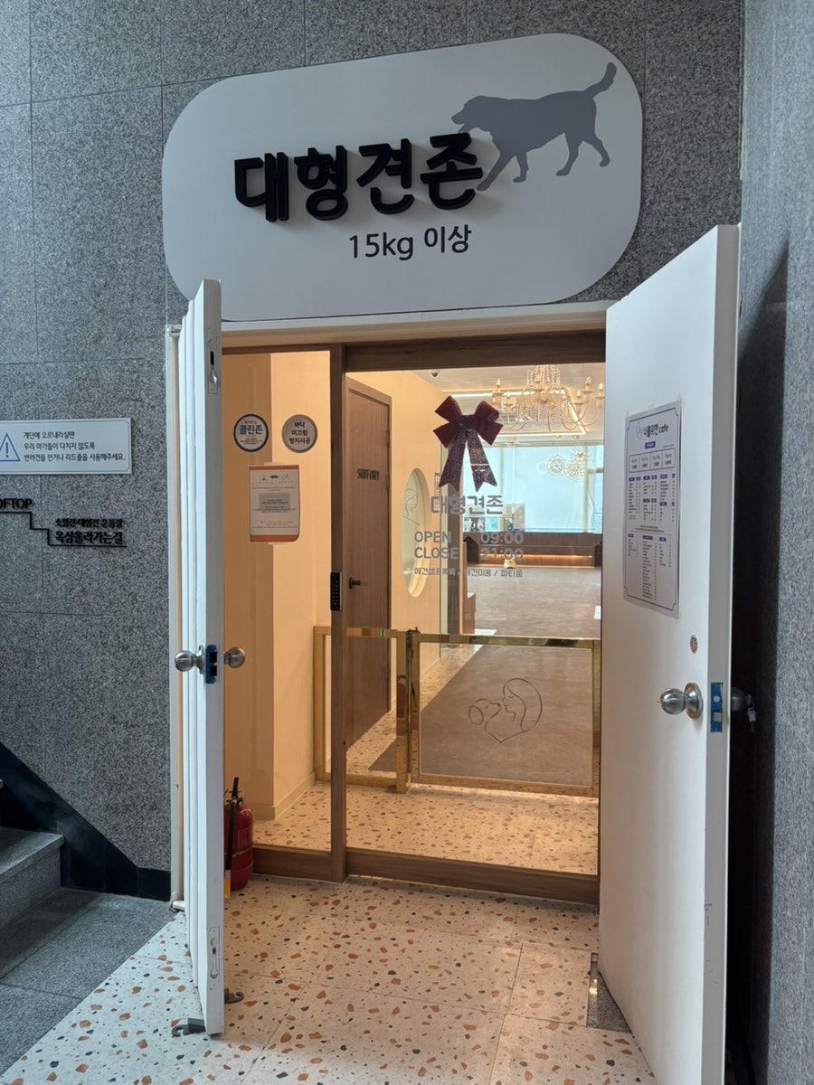 동탄 애견카페 너를위한카페: 미용부터 호텔까지 원스톱 솔루션 — 사진 2