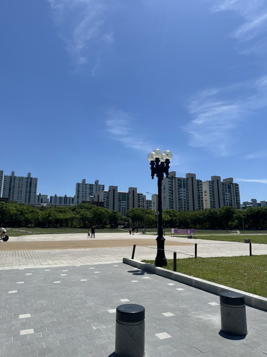 평촌중앙공원 강아지 동반 피크닉, 아이와 함께 즐기는 나들이 — 사진 5