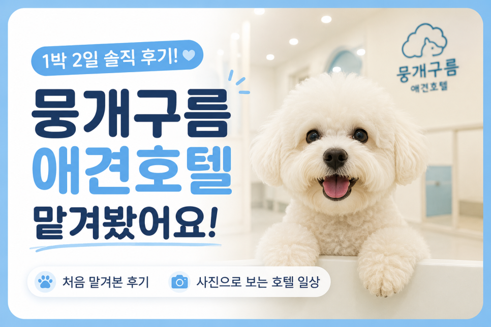 안양 애견호텔 첫 경험: 1박 2일 후 달라진 강아지 모습