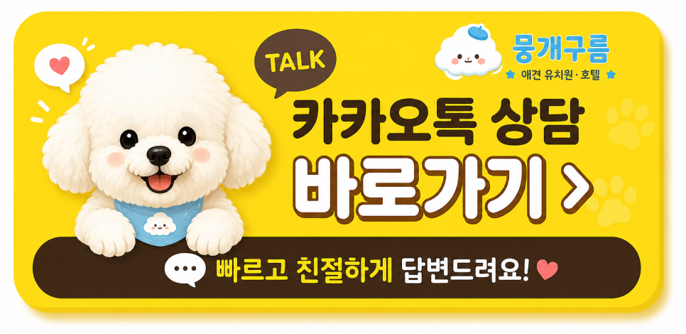 안양 애견호텔 첫 경험: 1박 2일 후 달라진 강아지 모습 — 사진 12
