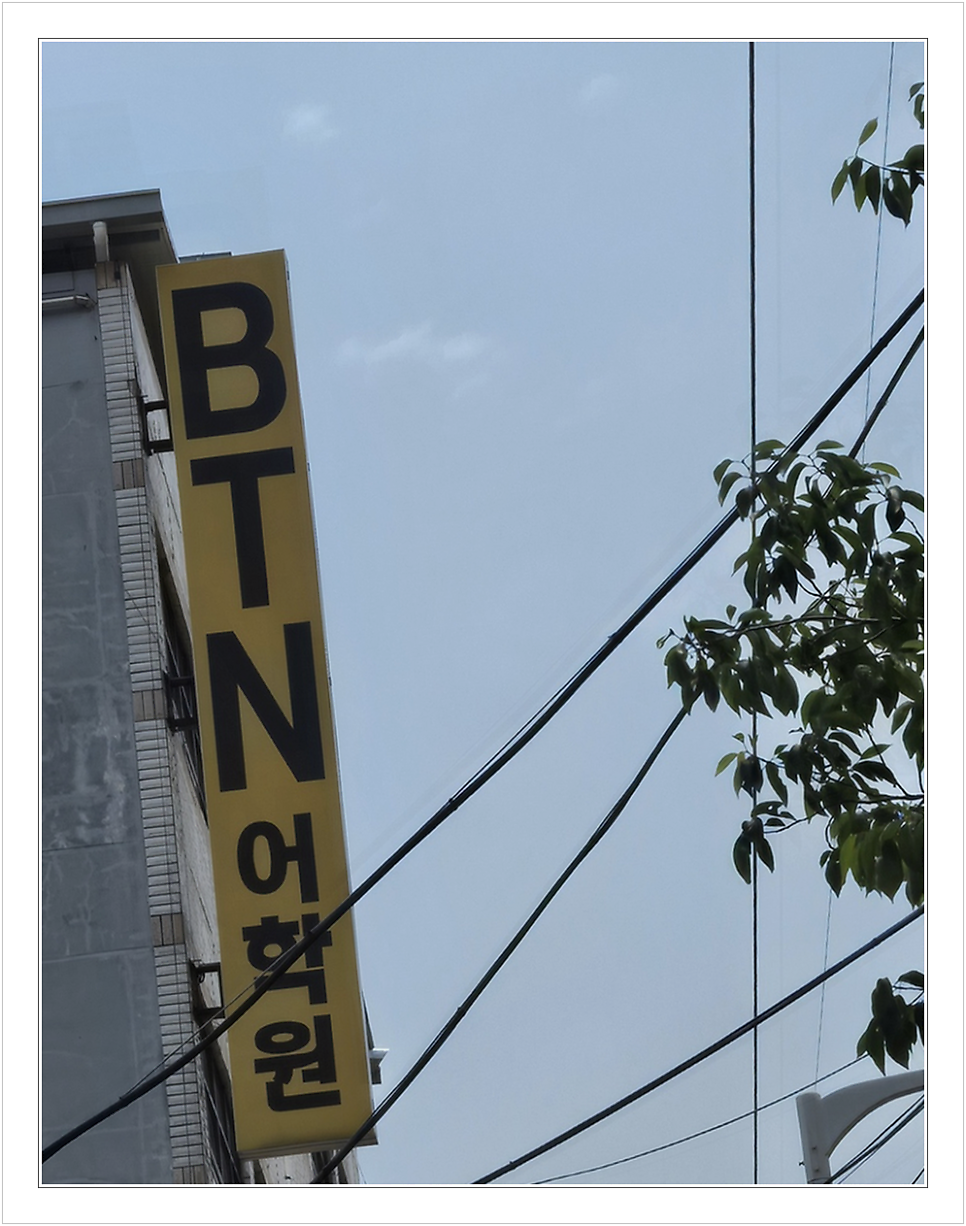 울산 토익 학원 후기: BTN어학원 테리쌤 LC 도영쌤 수업 비교