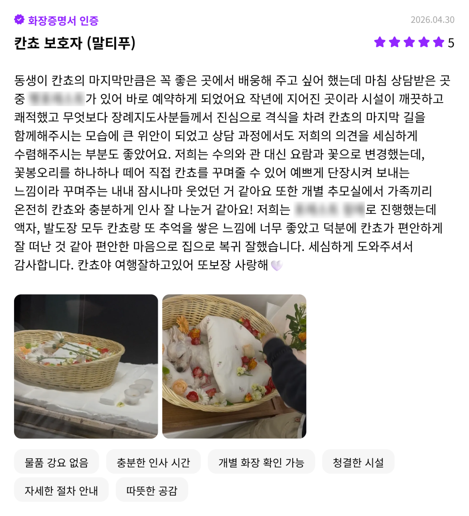 일산 강아지 장례식장 추천 및 비용 안내 — 사진 17