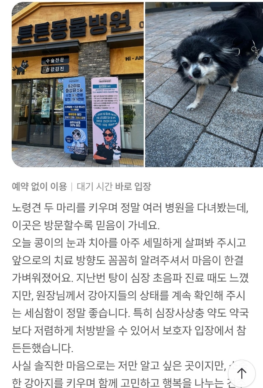 강아지 심장초음파 비용 합리적인 위례튼튼동물병원 후기 — 사진 6