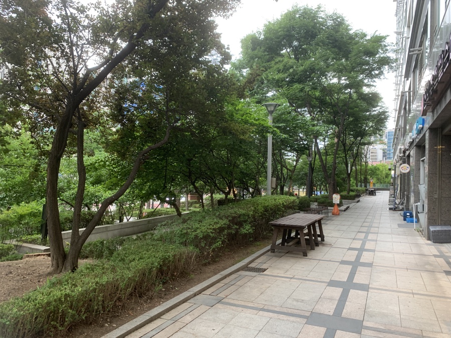 콩두부 사진 5