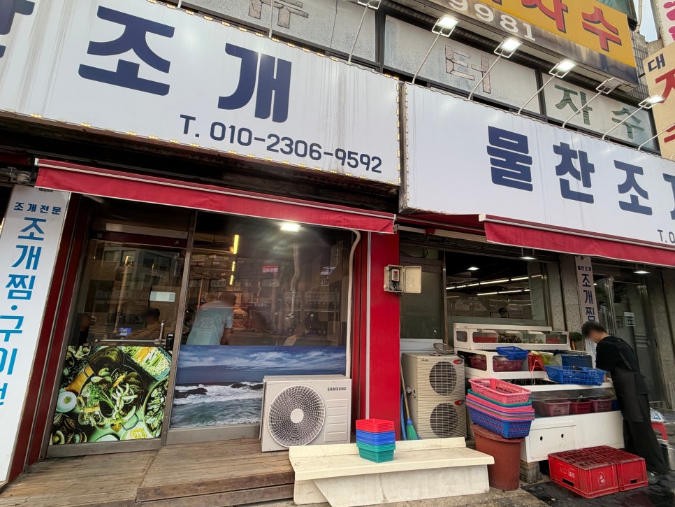 물찬조개 사진 8