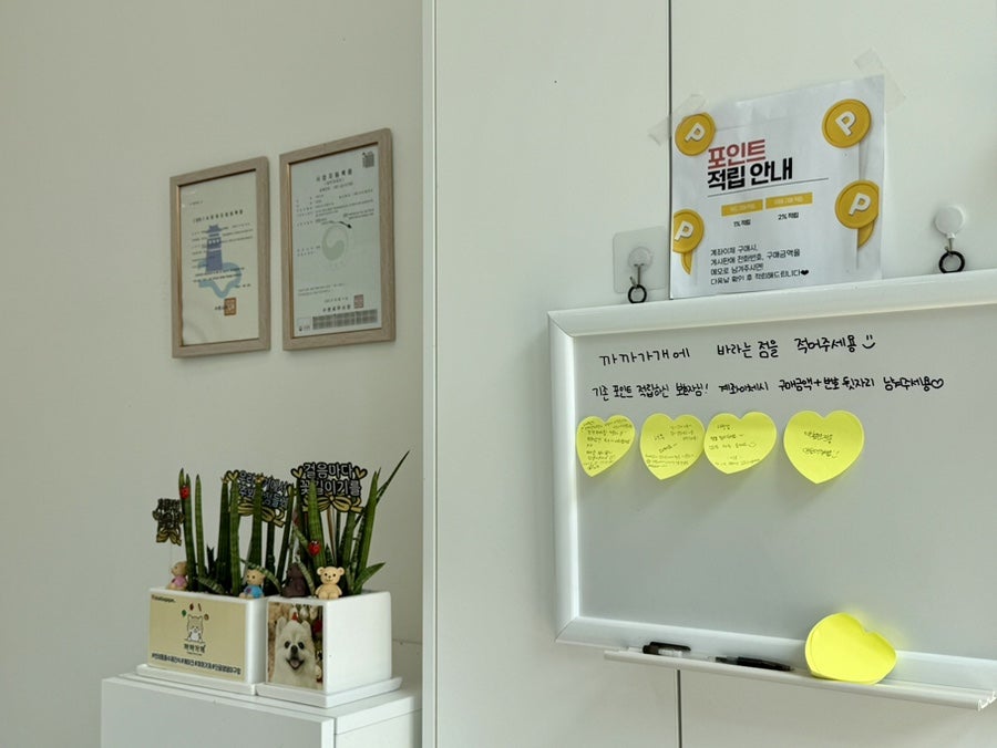 수원 강아지 생일 케이크 주문 제작, 까까가개 맞춤 디자인 — 사진 3