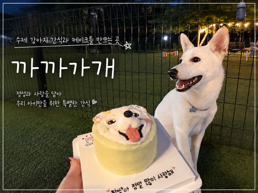 수원 강아지 생일 케이크 주문 제작, 까까가개 맞춤 디자인