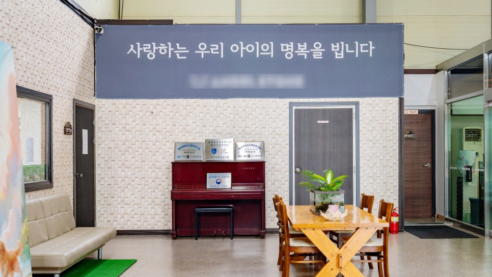 일산 강아지 장례식장 추천 및 비용 안내 — 사진 3