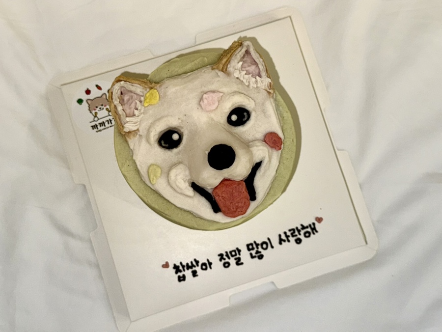 수원 강아지 생일 케이크 주문 제작, 까까가개 맞춤 디자인 — 사진 7