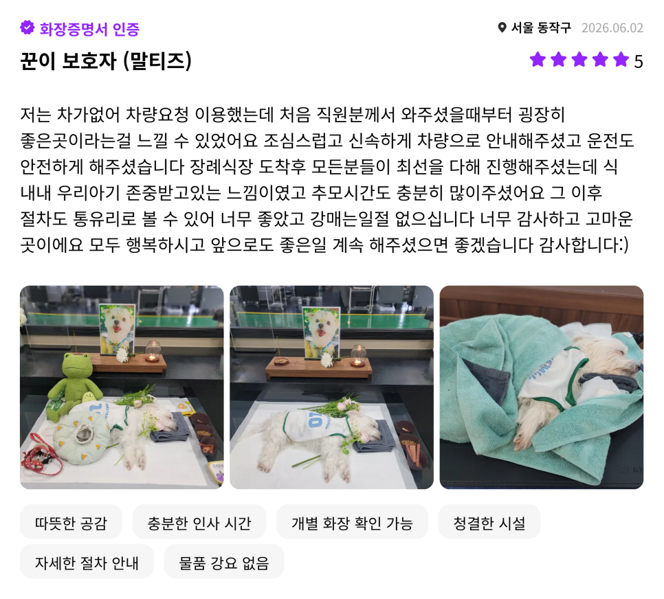 일산 강아지 장례식장 추천 및 비용 안내 — 사진 8