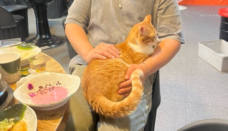 취중닭발 광양중마점 대표 사진