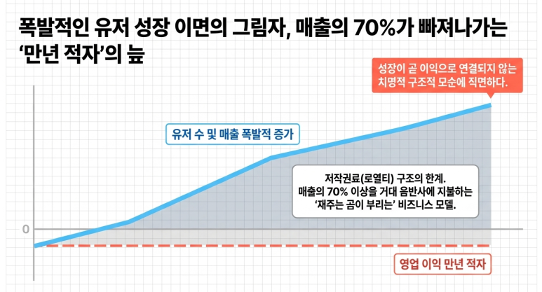 만년 적자의 늪