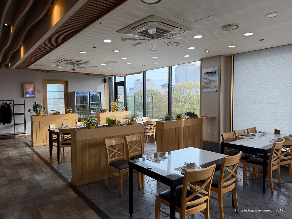 제주 중문 맛집 엉덩물횟집 B코스: 갈치회부터 지리탕까지 완벽 코스 — 사진 2