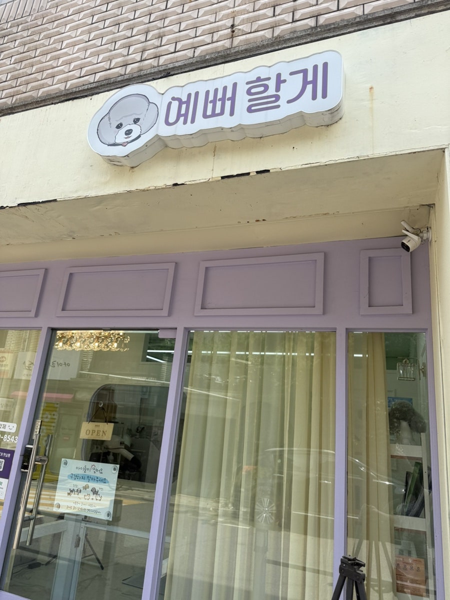 문정 토이푸들 가위컷 전문점 '예뻐할게', 로키 미용 후기 — 사진 2