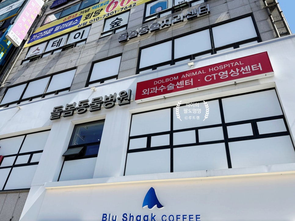 수원 돌봄동물병원 강아지 종합건강검진 후기 — 사진 4
