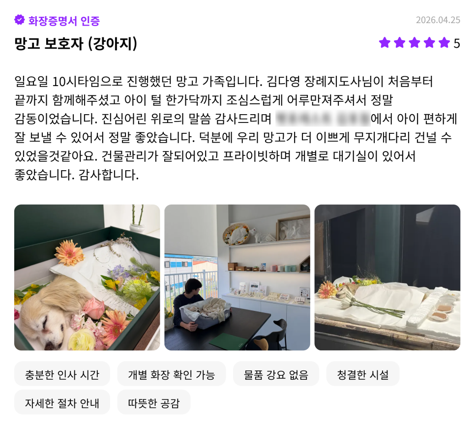 일산 강아지 장례식장 추천 및 비용 안내 — 사진 16