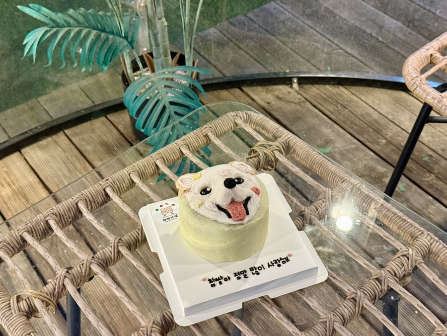 수원 강아지 생일 케이크 주문 제작, 까까가개 맞춤 디자인 — 사진 8