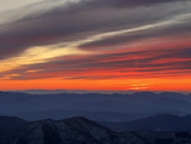 오띠젤리 사진 8