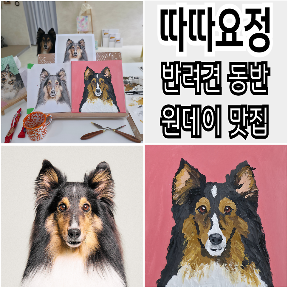 안산 반려견 초상화 원데이클래스: 따따요정 후기 — 사진 1