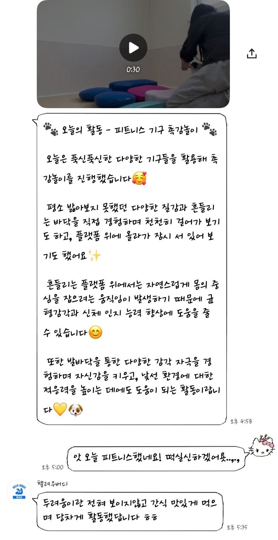 홍대 헬로우버디 애견유치원, 미용 후기 및 비용 안내 — 사진 15