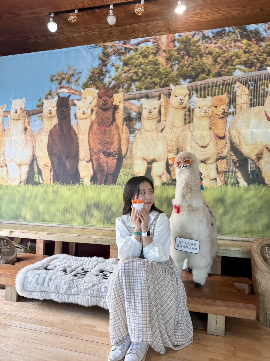 제주도 2박 3일 팸투어: 애월부터 성산까지 알찬 여행 코스 후기 — 사진 17