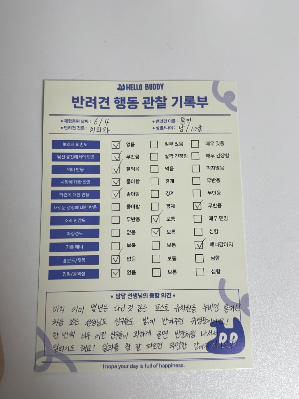홍대 헬로우버디 애견유치원, 미용 후기 및 비용 안내 — 사진 12