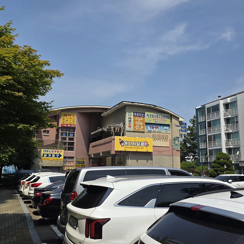 안산 반려견 초상화 원데이클래스: 따따요정 후기 — 사진 4